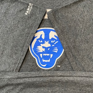 【GILDAN】カレッジ ジョージア州立大学 GEORGIA STATE UNIVERSITY Tシャツ アーチロゴ 2XL ビッグサイズ US古着