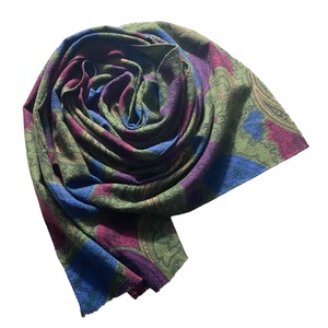 ETRO cashmere × silk paisley scarf