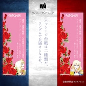 《ベルサイユのばら》壮大なドラマがはじまる…