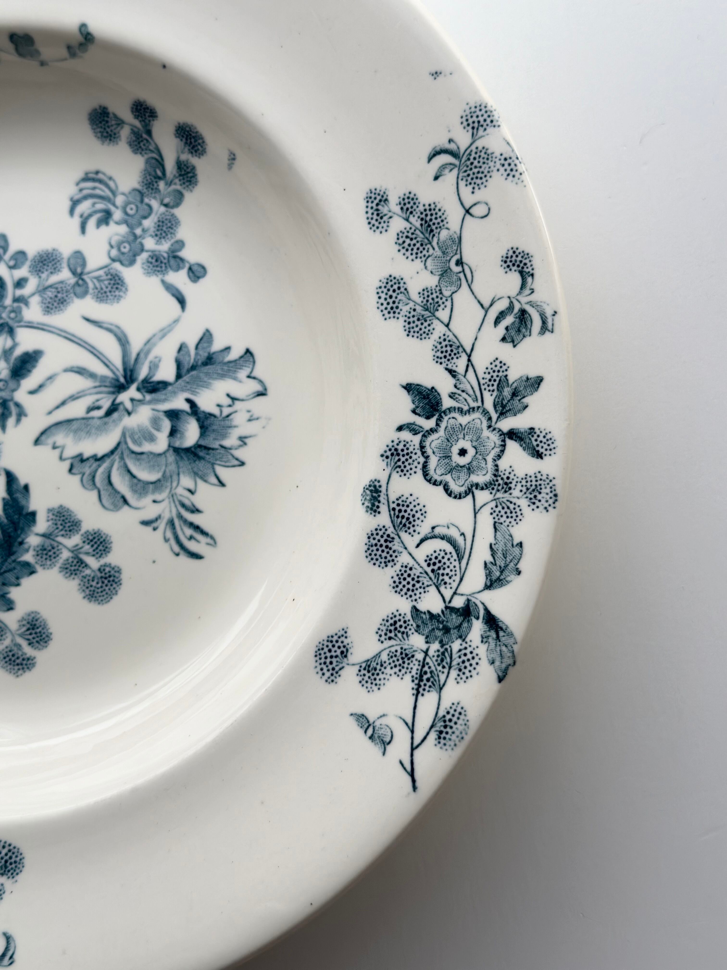 Longwy ロンウィー / “YCHO” ボタニカルな深皿プレート | VIRON