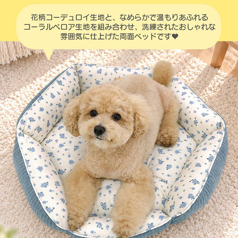 【予約販売10%OFF】jelly bear reversible bed 2color / 犬用 ベッド リバーシブル 両面 ふんわり 冬 可愛い クッション ペットマット 猫用 韓国 ペット用品 小型犬 中型犬 ハウス 高級 犬 ペットベッド