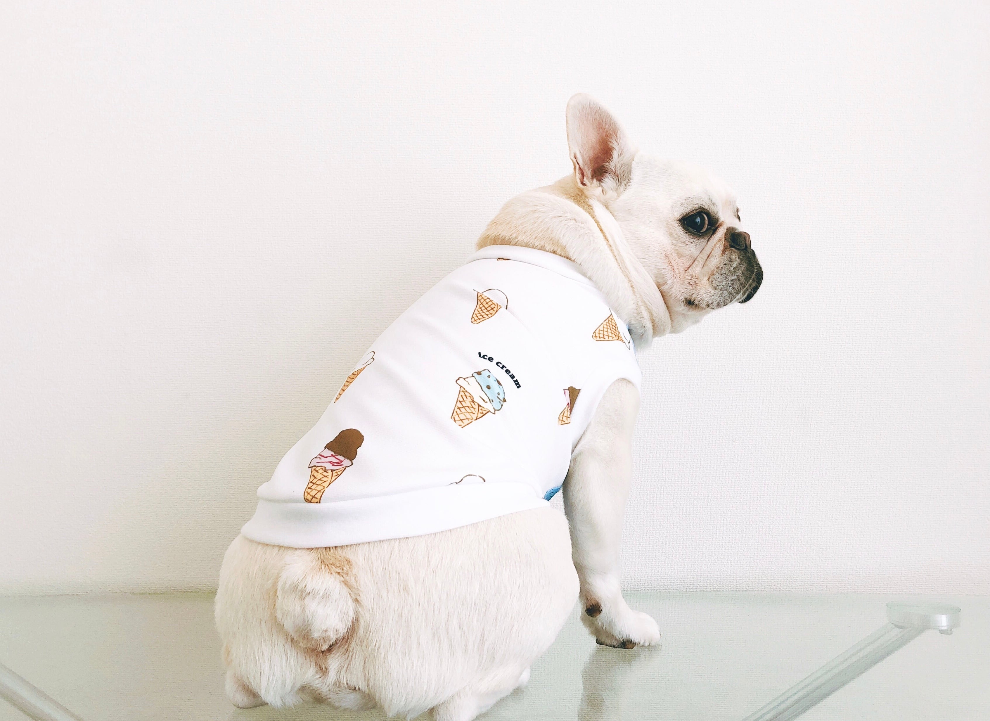 フロントメッシュタンクトップ＊アイスクリーム＊ | 犬服BUTTER