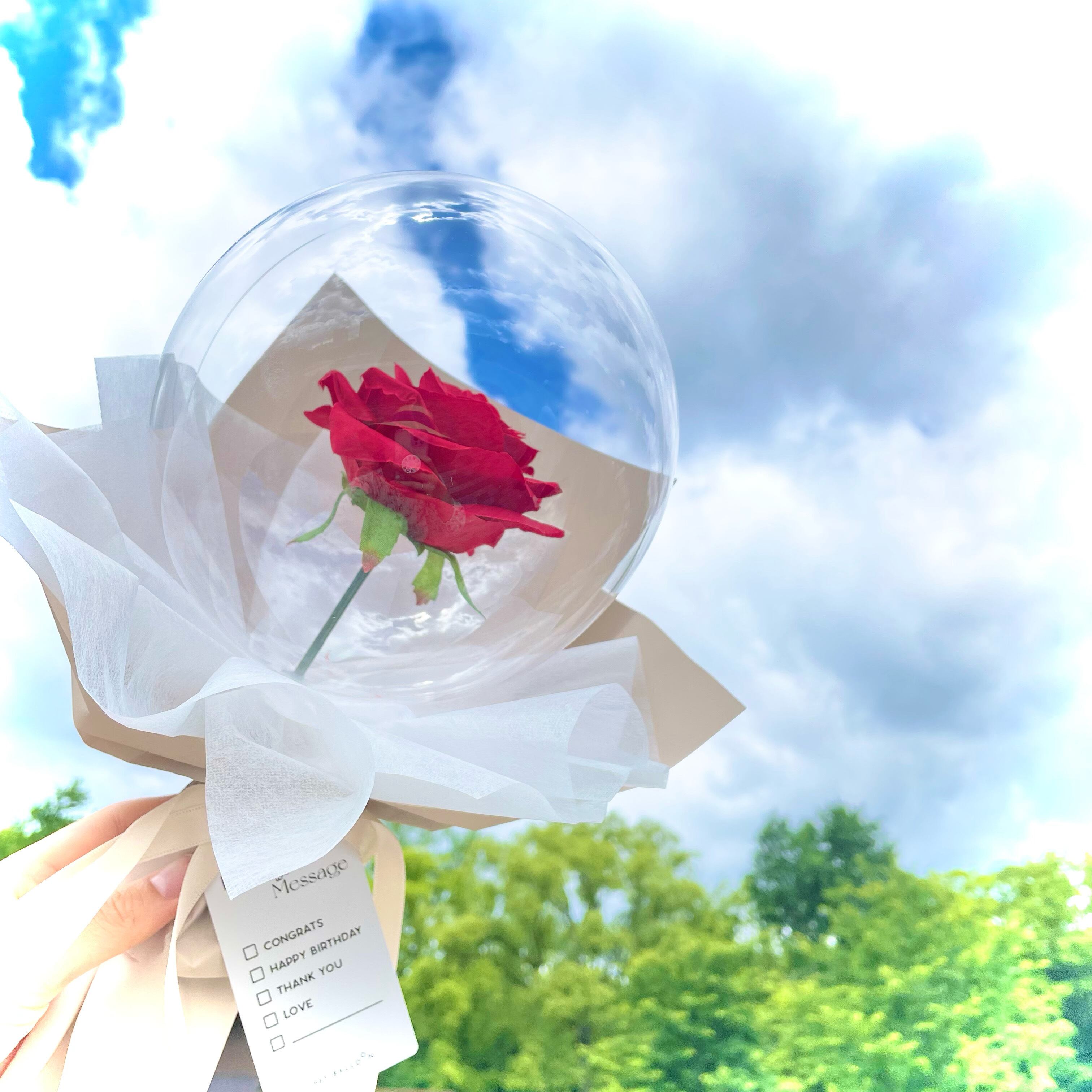 HEY BALLOON提携商品 | Ailé Balloon