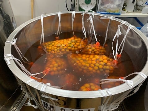 梅櫻（うめざくら）500ml | 三千櫻酒造