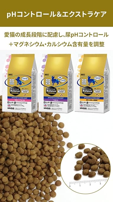 プロフェッショナルバランス一歳から6キロ ×2 プロフェッショナル・バランス 1歳から 体重管理用 6kg: 100｜業務用