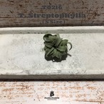 【送料無料】ストレプトフィラS〔エアプランツ〕現品発送T0216