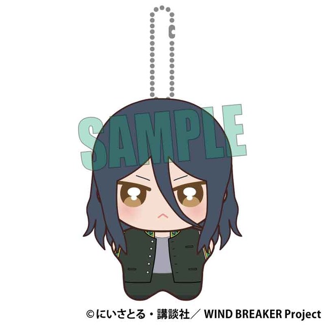WIND BREAKER ぽにすてっぷ 杉下 京太郎