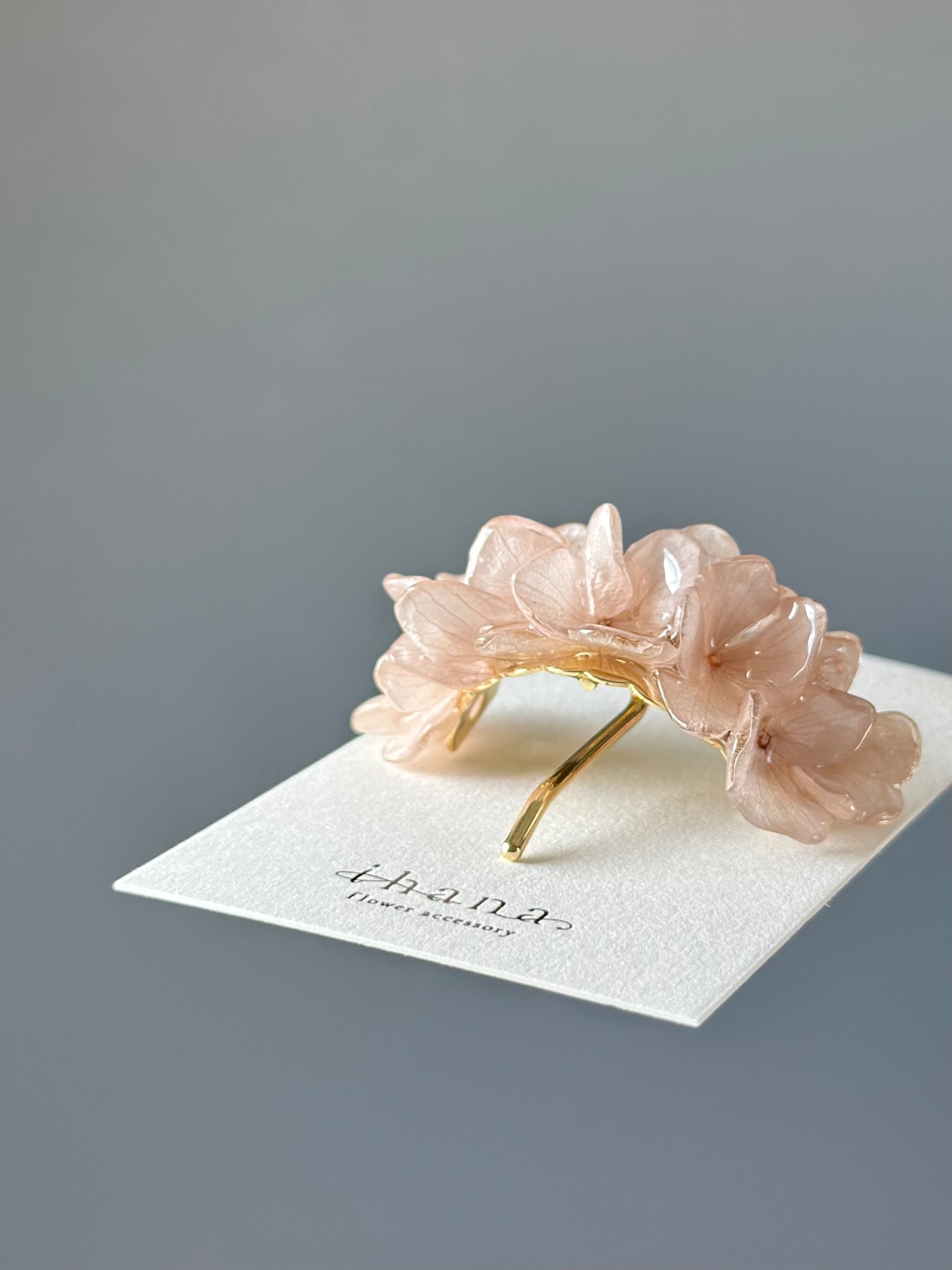 hydrangea ponyhook