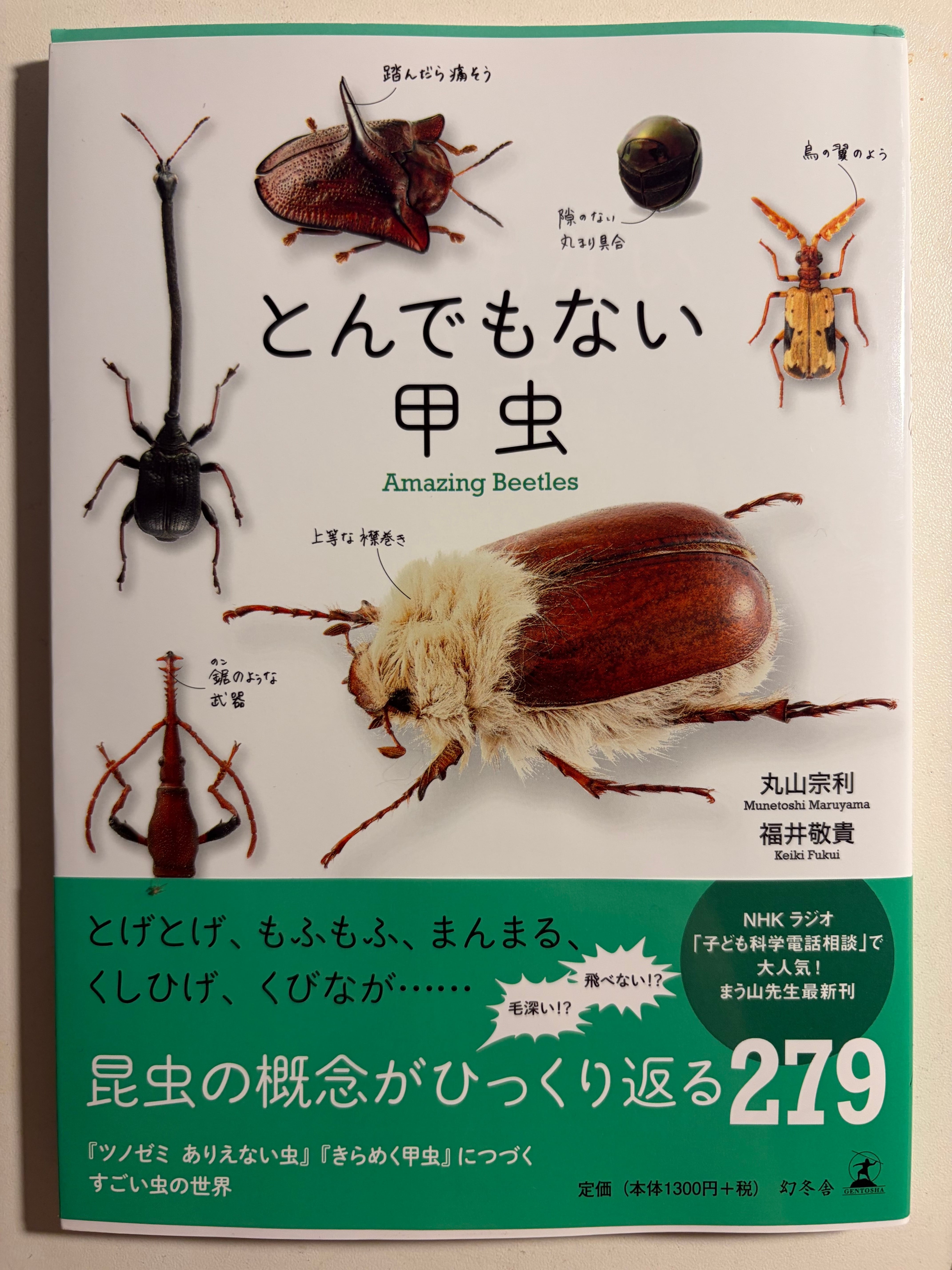 2匹set】マンマルコガネ レッドフォーム 標本 とんでもない甲虫