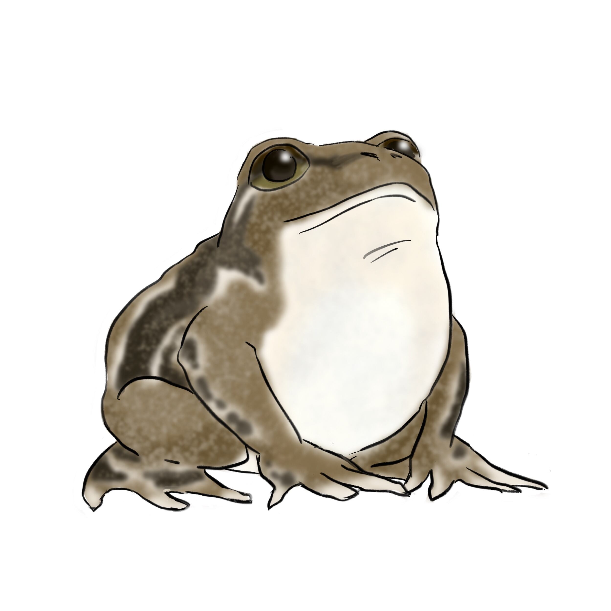 カエル梅雨：一点物 絵画 