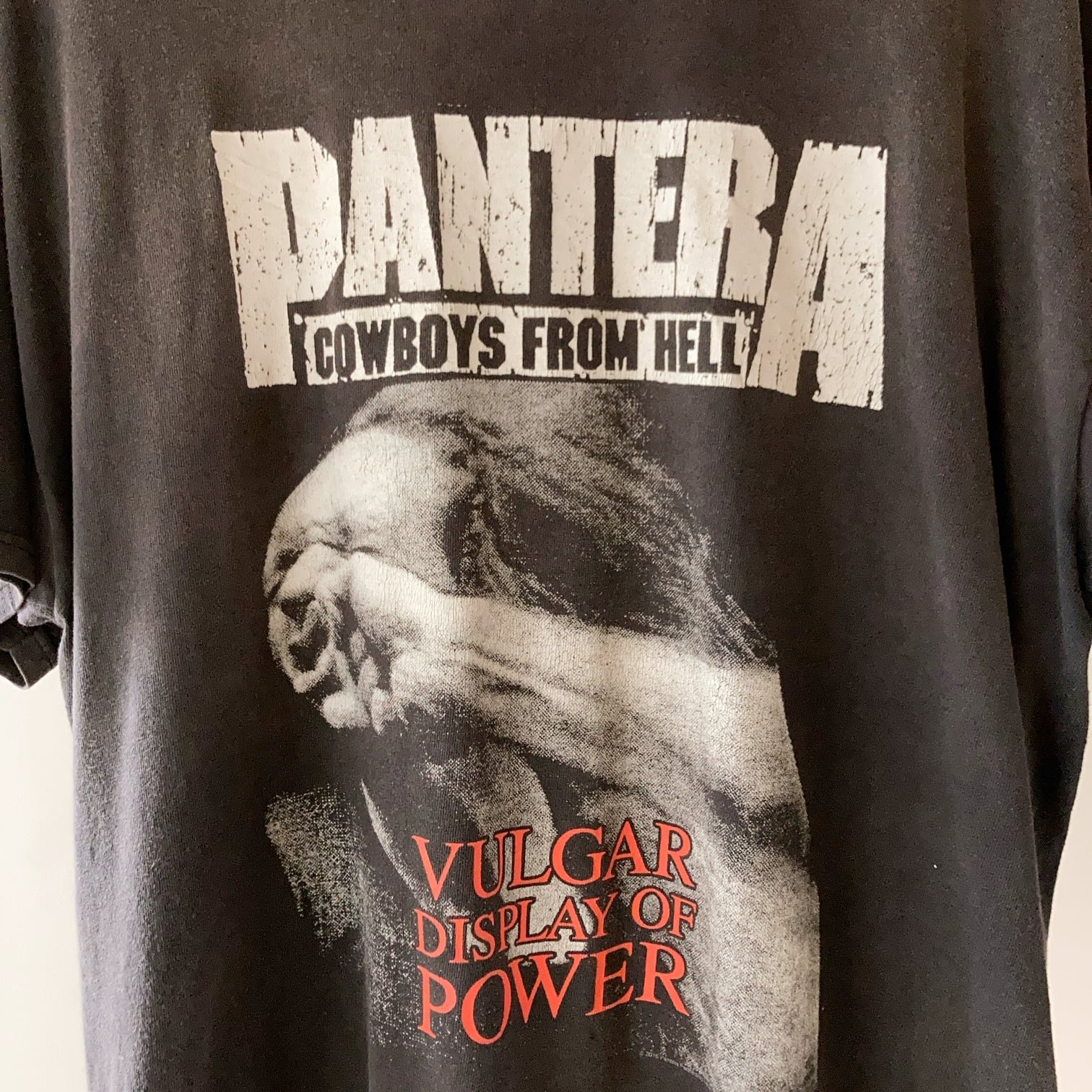 PANTERA 