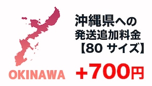 沖縄県への発送追加料金【80 サイズ】