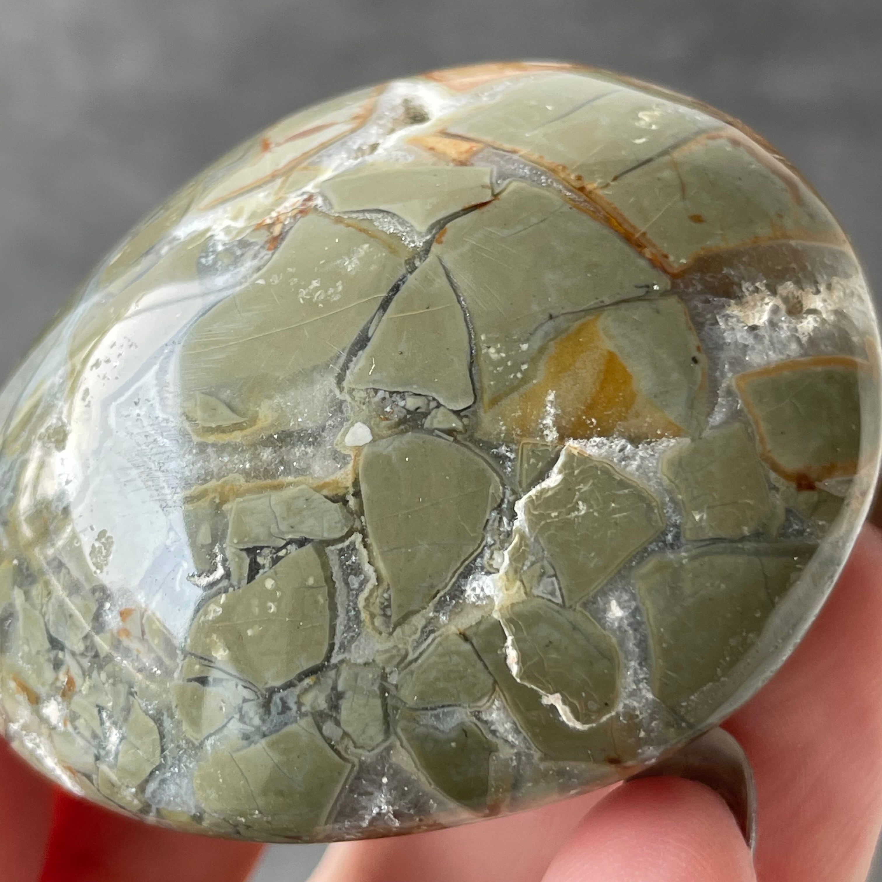 Ibis Jasper アイビスジャスパー|palm パーム|天然石 パワーストーン