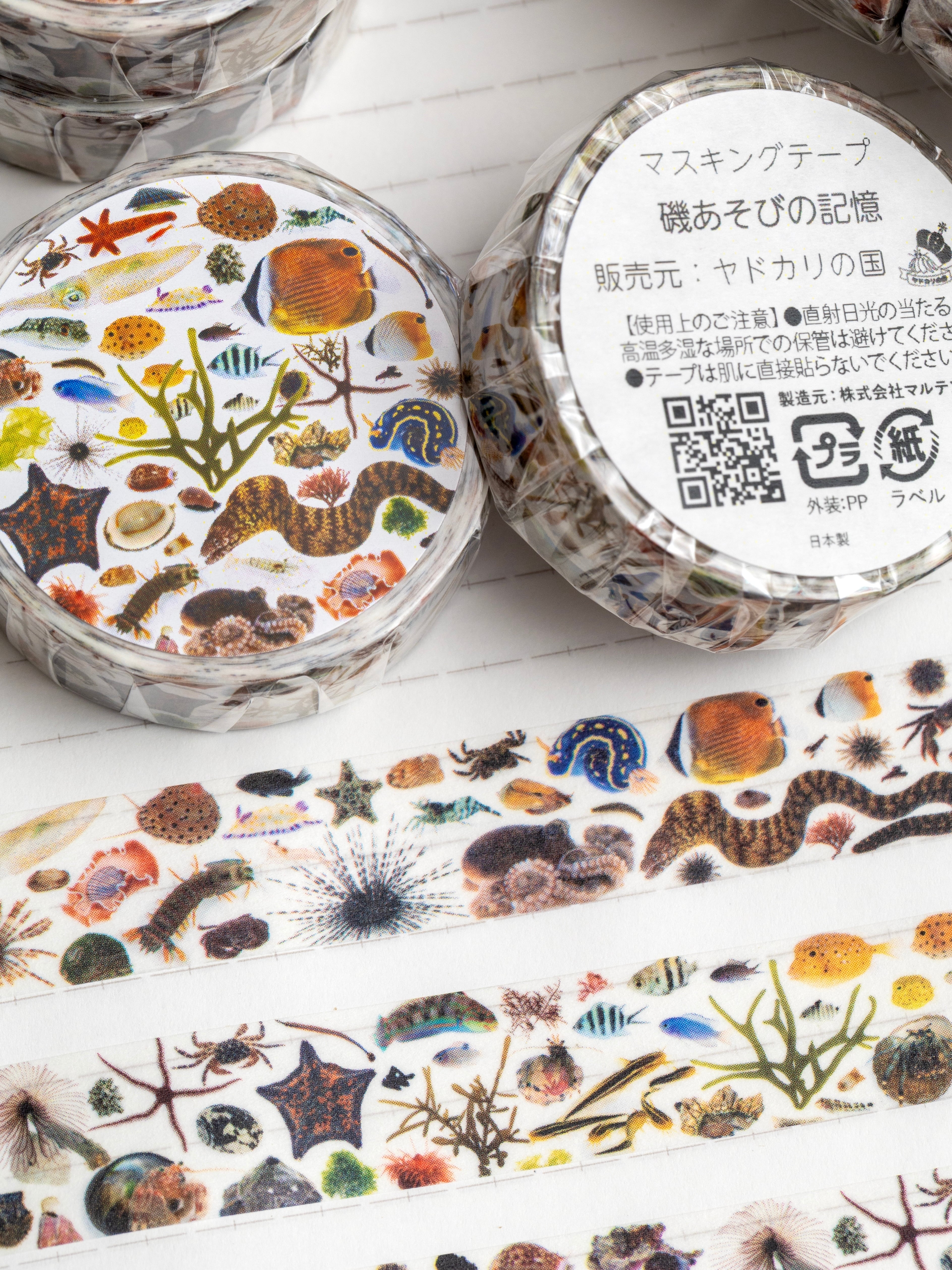 マスキングテープ】磯あそびの記憶 | ヤドカリの国
