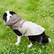 38DOG RAINCORT / KAHKI