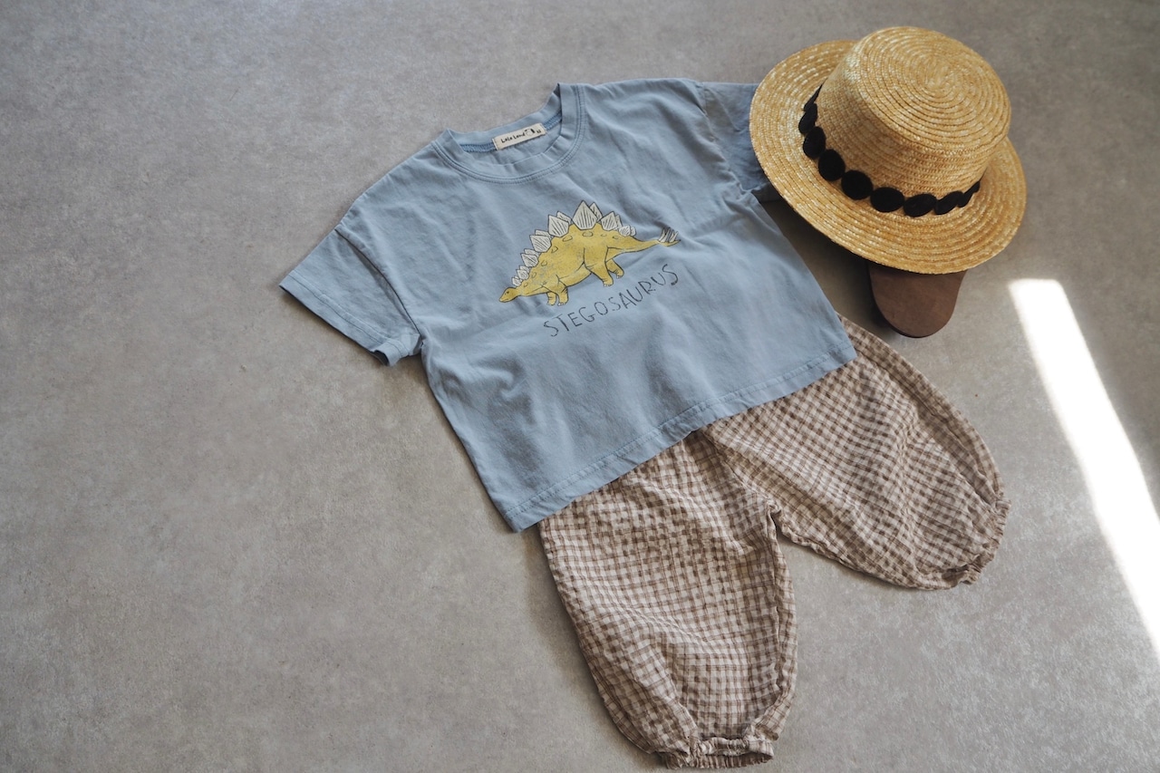 【lala land】恐竜 Dinosaur Tシャツ - 17