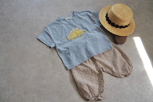 【lala land】恐竜 Dinosaur Tシャツ