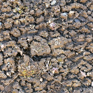 畑の土 春　spring field soil