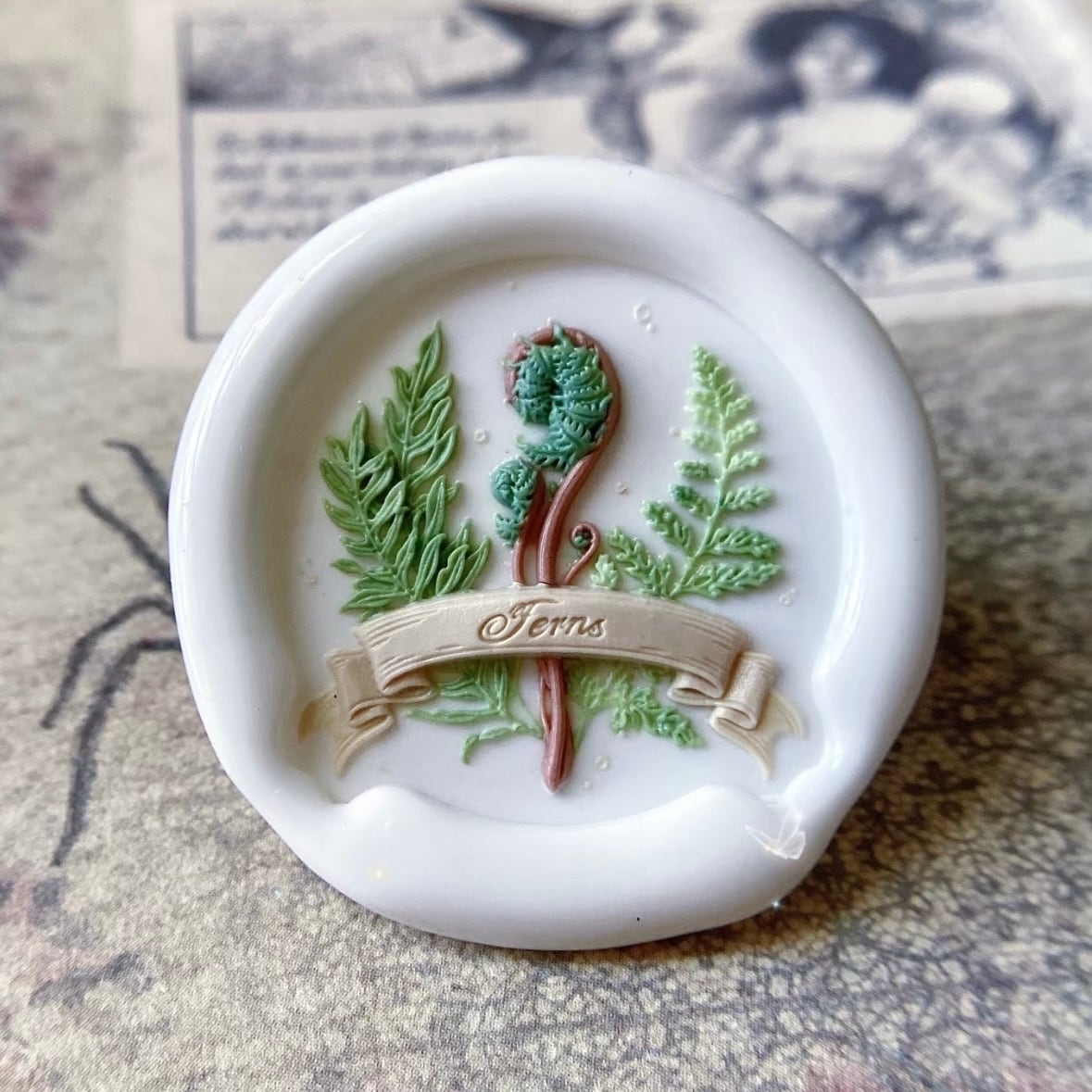 【限定入荷】蕨の詩|Poem of Ferns 25mm・シーリングスタンプ