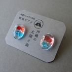 沖縄 ピアス/樹脂/イヤリング