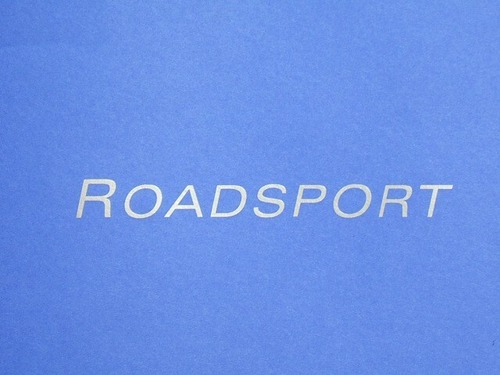 76229RS デカール、ボンネット、ROADSPORT、シルバー、2002年以降