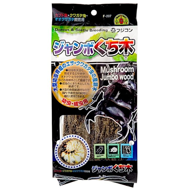 色残抜群】トゲアクマツユムシ リオック 直翅類 カマキリ マンティス