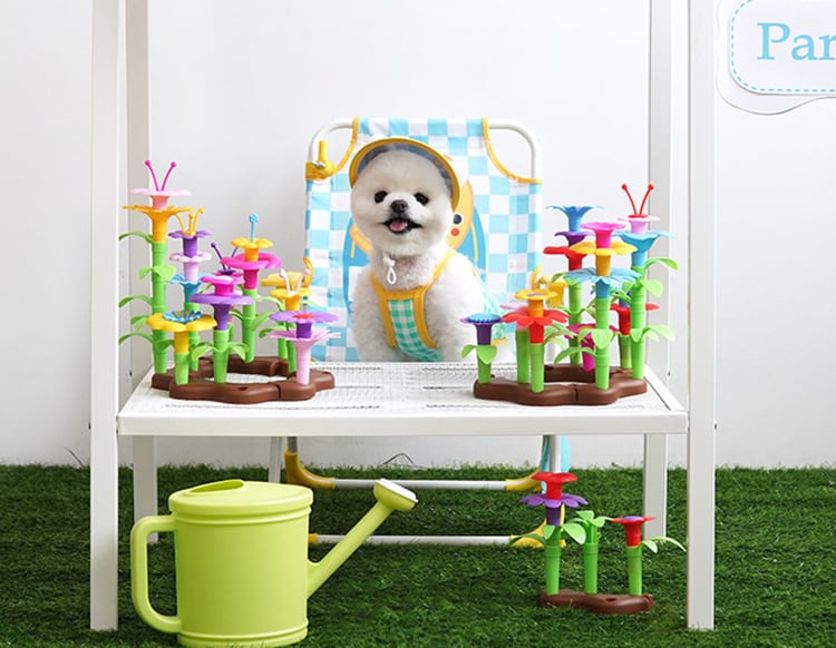 【SALE】 hello sun-visor set S ~ XL 2color / 犬服 夏 新作 サンバイザー 暑さ対策 可愛い 犬の服 ドッグウェア タンクトップ ペット ワンコ服 小型犬 中型犬 猫