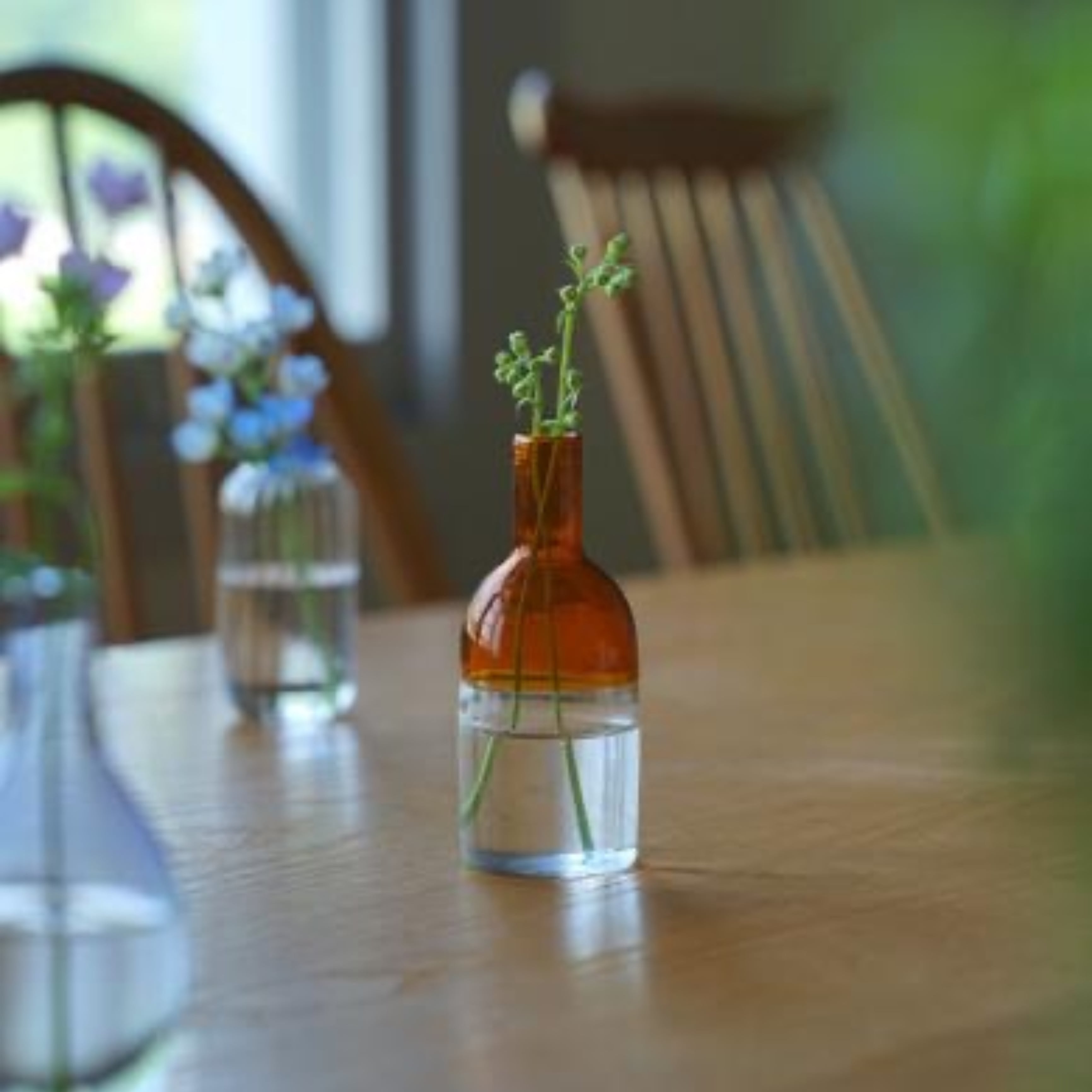 Homestead ガラスベース ツートン S | Zakka so-la