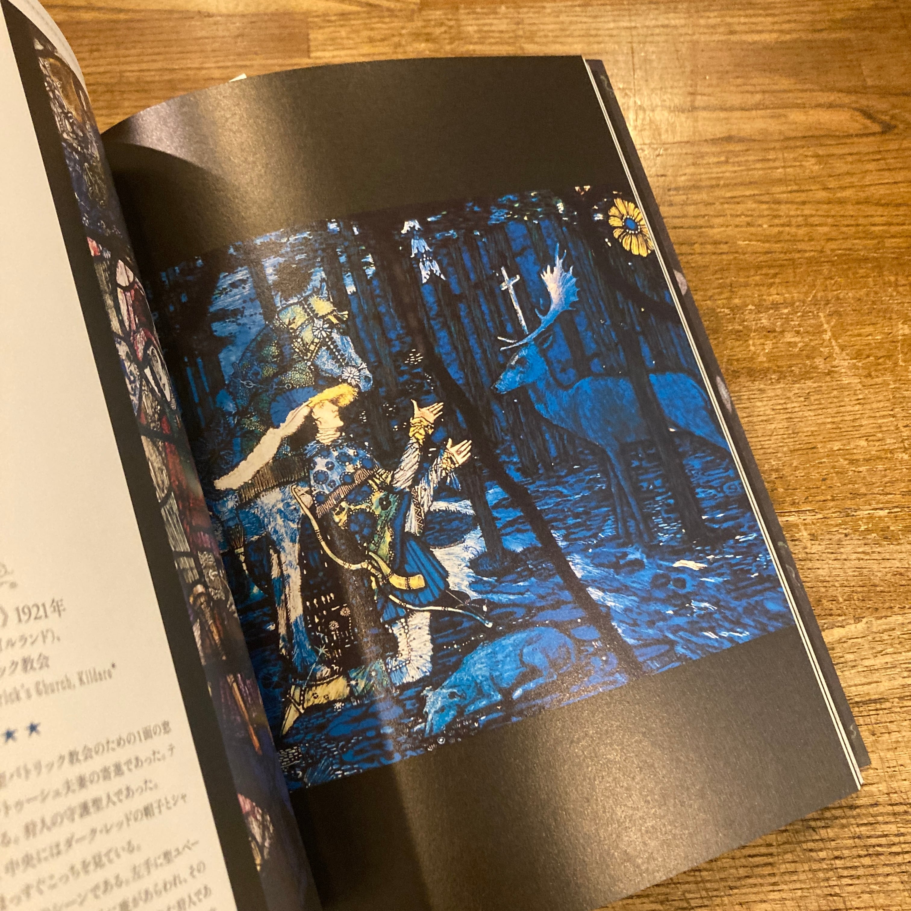 アイルランドの挿絵とステンドグラスの世界 ハリー・クラーク / 海野弘