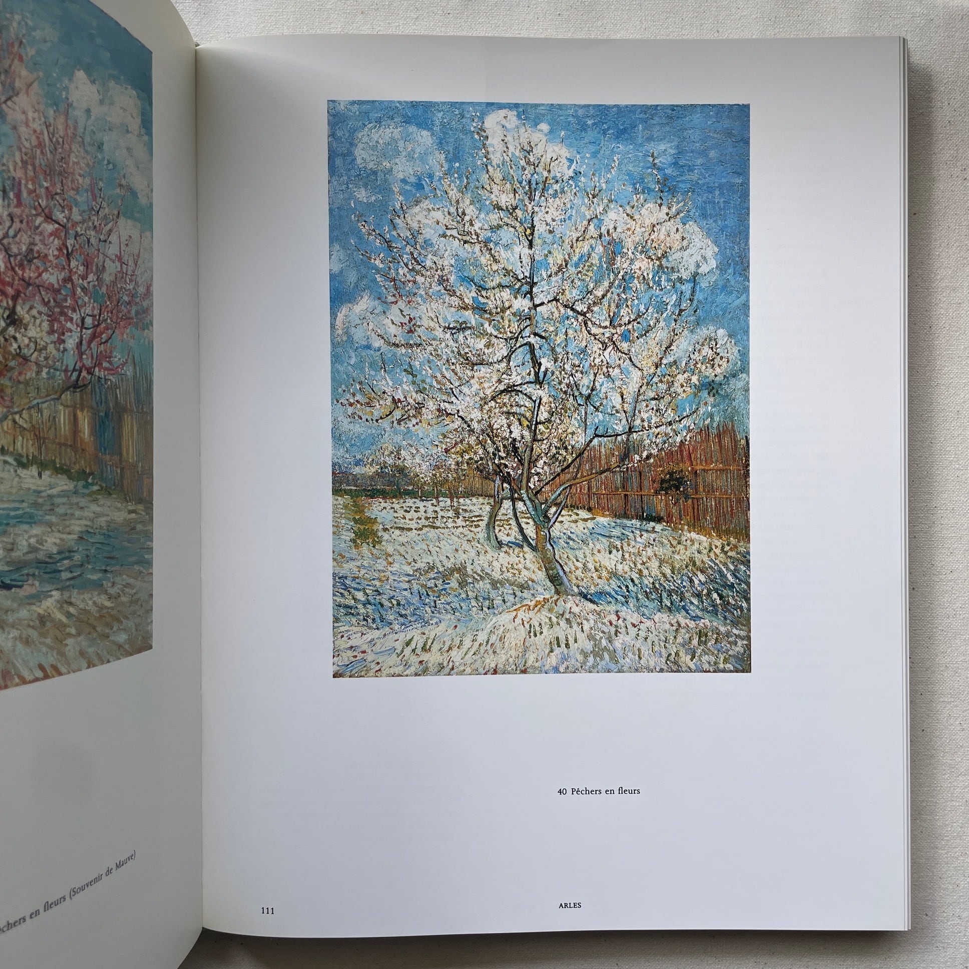 Vincent Van Gogh RijkMuseum Amsterdam Otterlo fonds Mercator