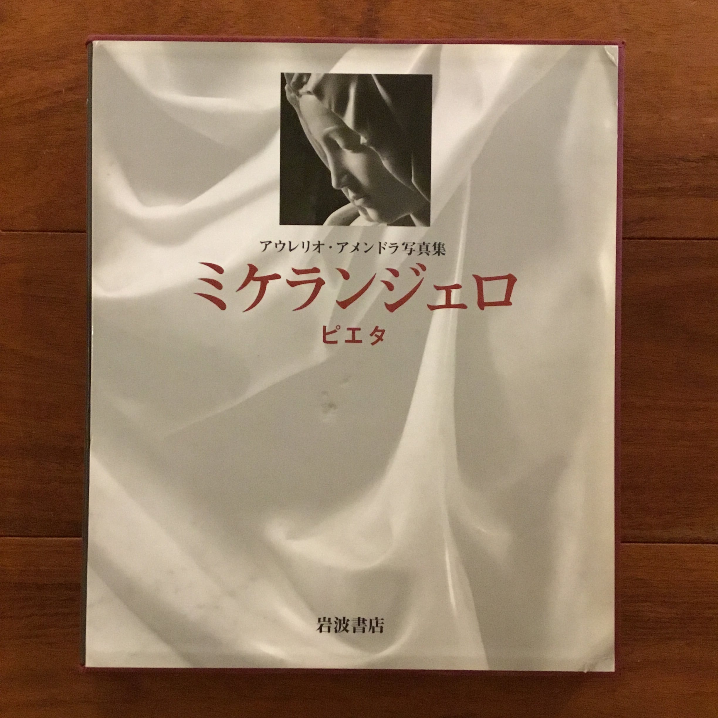 ミケランジェロ ピエタ アウレリオ・アメンドラ写真集 | Flying Books