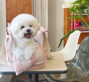 予約【DOUBLE COMMA】THECOM BAG (Pink)