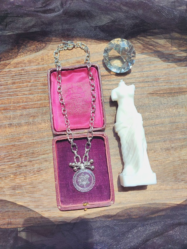 【REMEMBER WHEN ROSE CHOKER NECKLACE／（XX376） 】