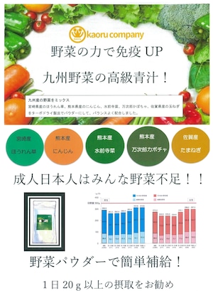 【お試し用】★★高級青汁★★野菜パウダー（150ｇ入/袋　1袋）