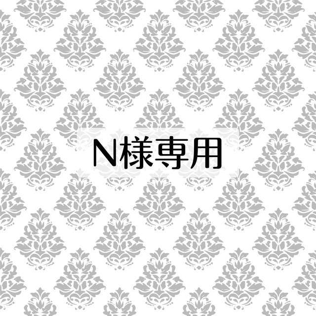 N 様専用