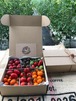 【定期便】【毎月1回×6回お届け】約2kg  カラフルミニトマト詰め合わせ