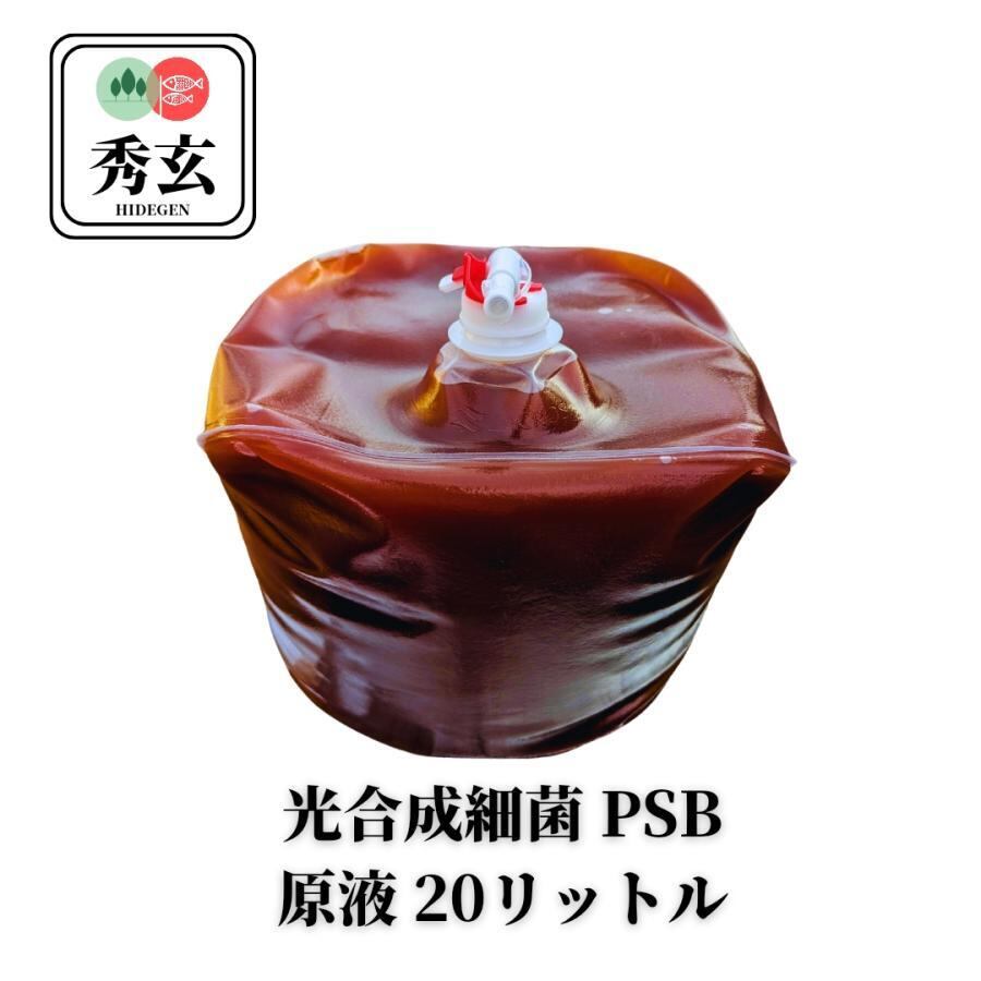 特濃 PSB光合成細菌 5.0L 関連:めだか金魚免疫強化水質浄化クロレラ1C