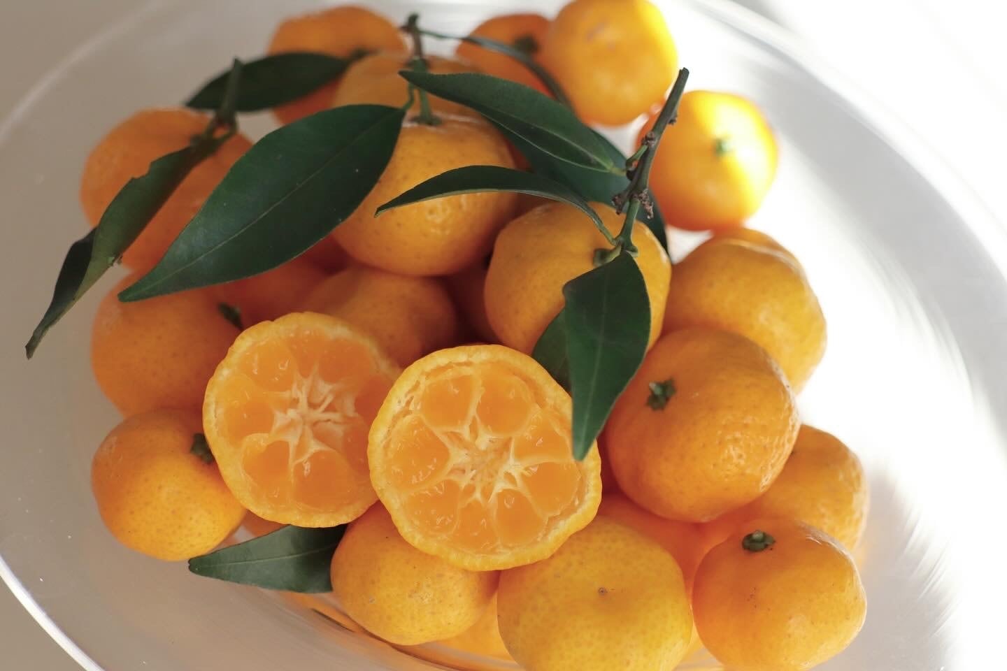 大和橘果実1kg（農薬不使用） | なら橘プロジェクト推進協議会