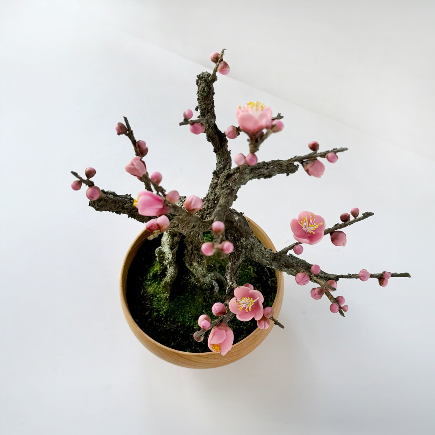 盆栽 梅 / Re.Bonシリーズ (Craft Bonsai Ume) | 盆たれすと(Bonterest)