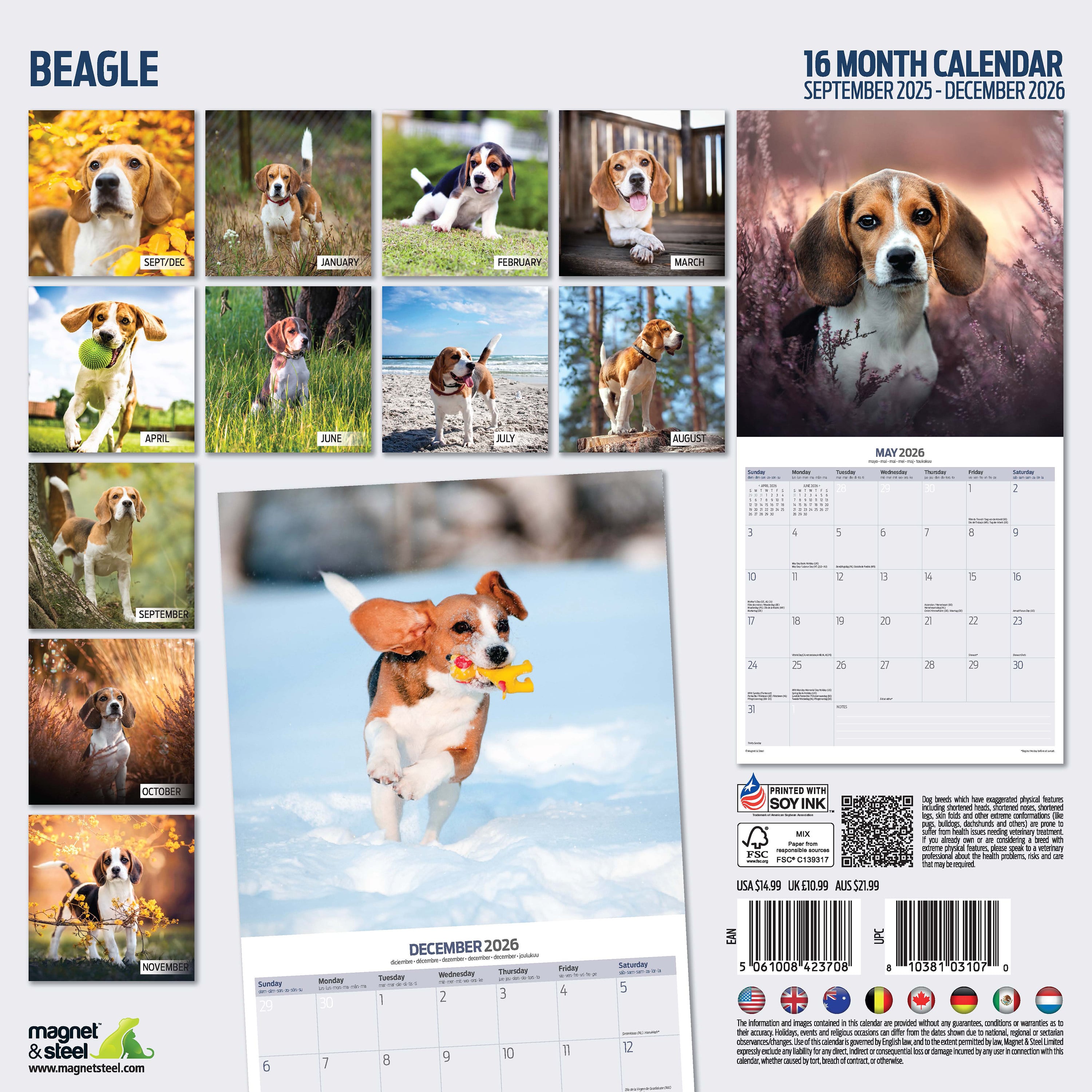 【2026年版】英国製犬種カレンダー【ビーグル Traditional】 2026年版