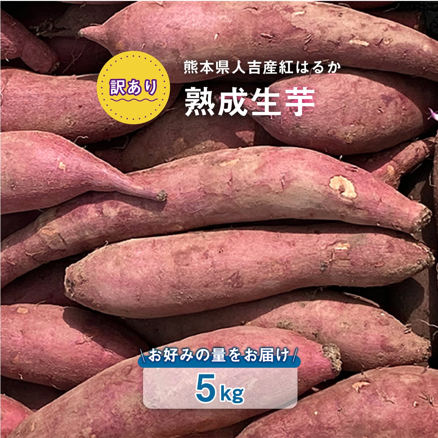 訳あり】紅はるか 熟成生芋5kg 熊本県産 さつまいも サイズ混合 土付き