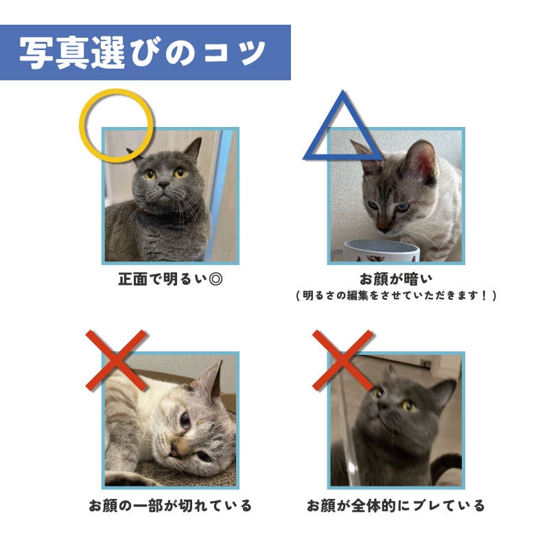 loverynonta　うちの子オーダー ペット 家族 オリジナルグッズ オーダーメイド わがや 子供 猫