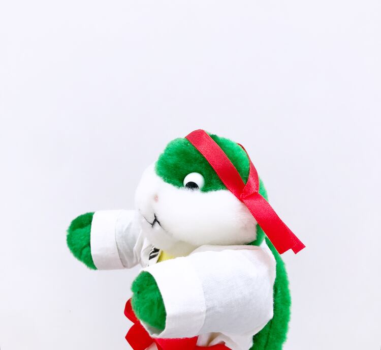 あや出品 A ぬいぐるみ 61MhuKhR1DL._AC_UF350,