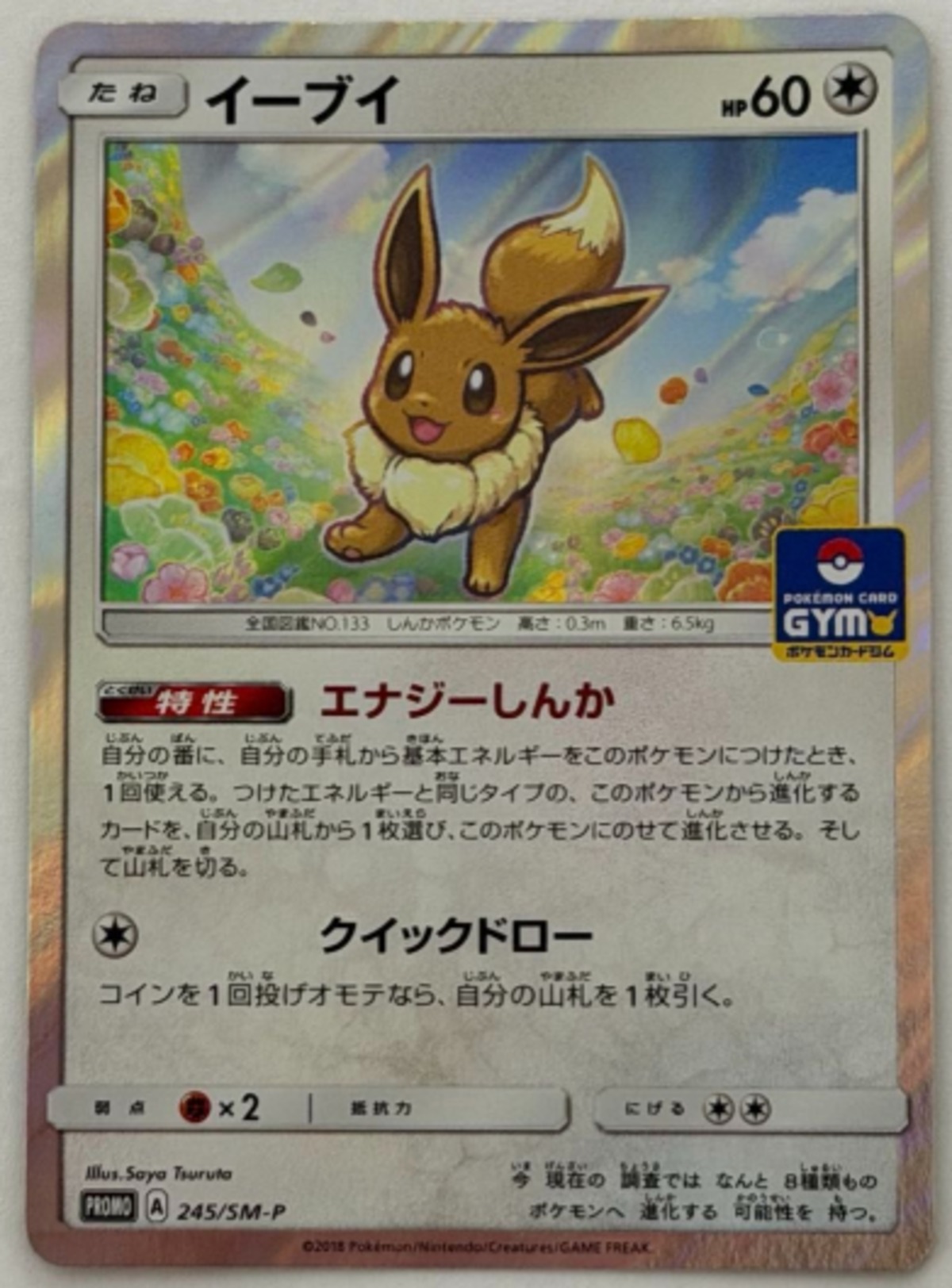 イーブイ P 245/SM-P その他 ポケモンカード PokemonCard | ポケモン