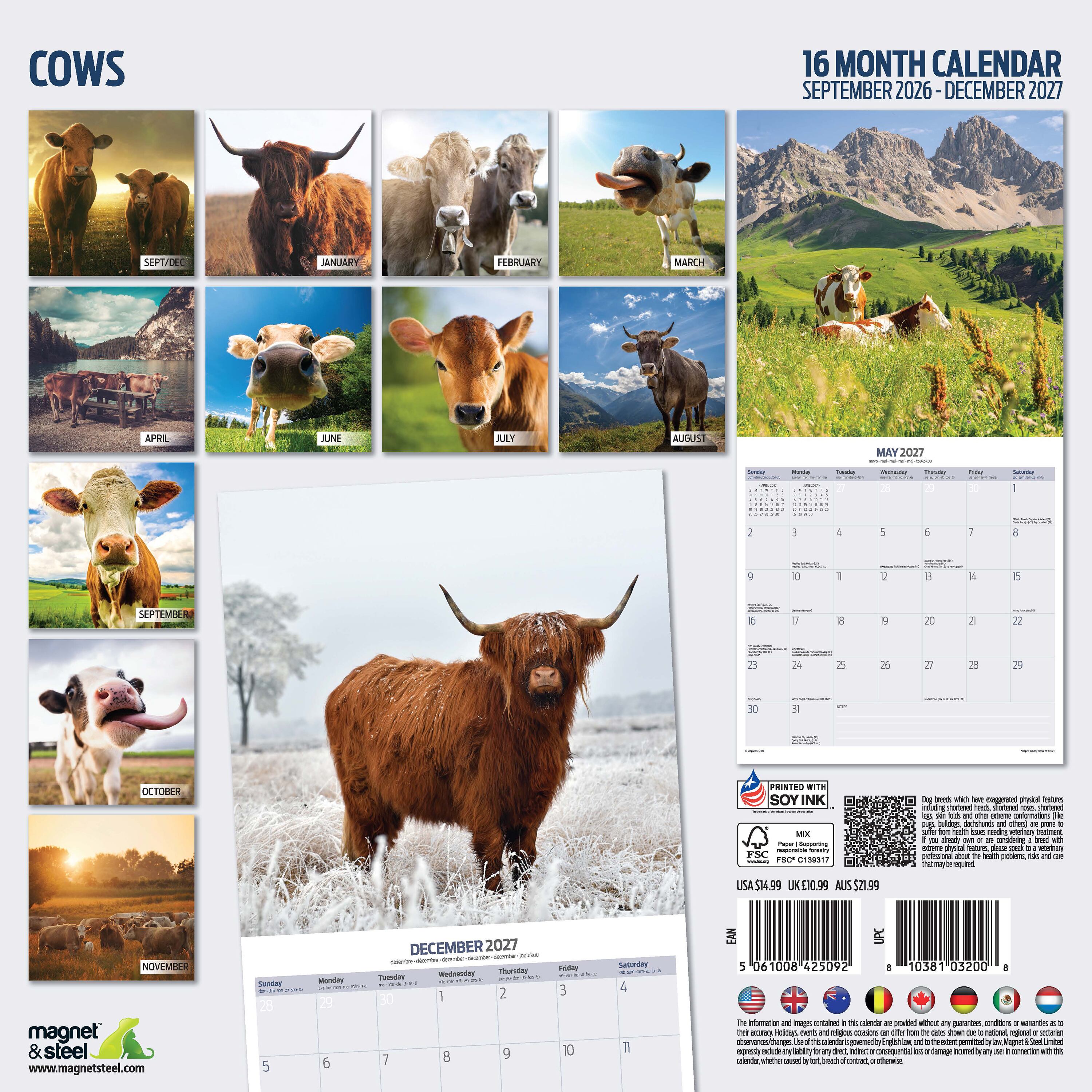 【2027年版】英国製カレンダー【Cows】 2027年版