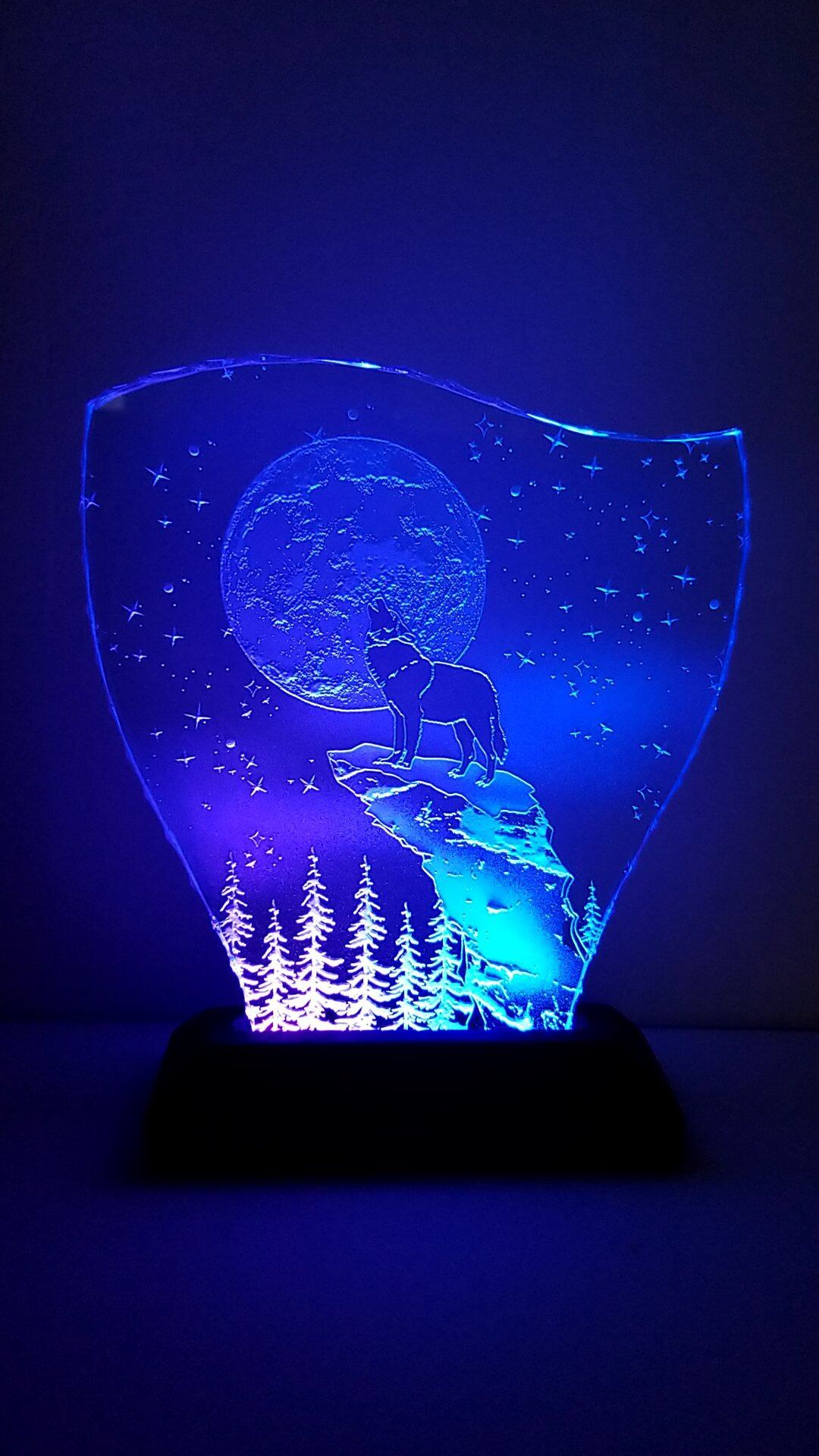 星月夜・満月とオオカミ（ガラス：Mサイズ） | mayasworks