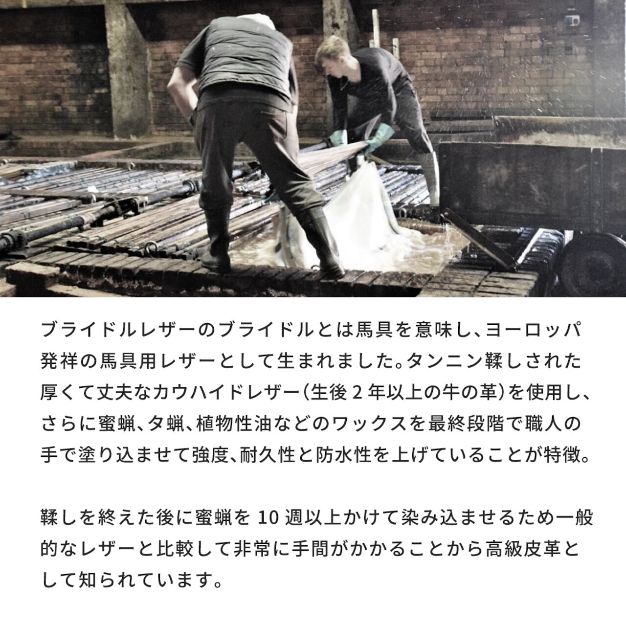 【限定商品】ビルフォールド JIB ブライドルレザー