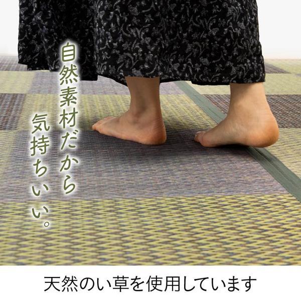 い草ラグ い草 ラグ カーペット 江戸間 3畳 上敷き ござ おしゃれ 夏