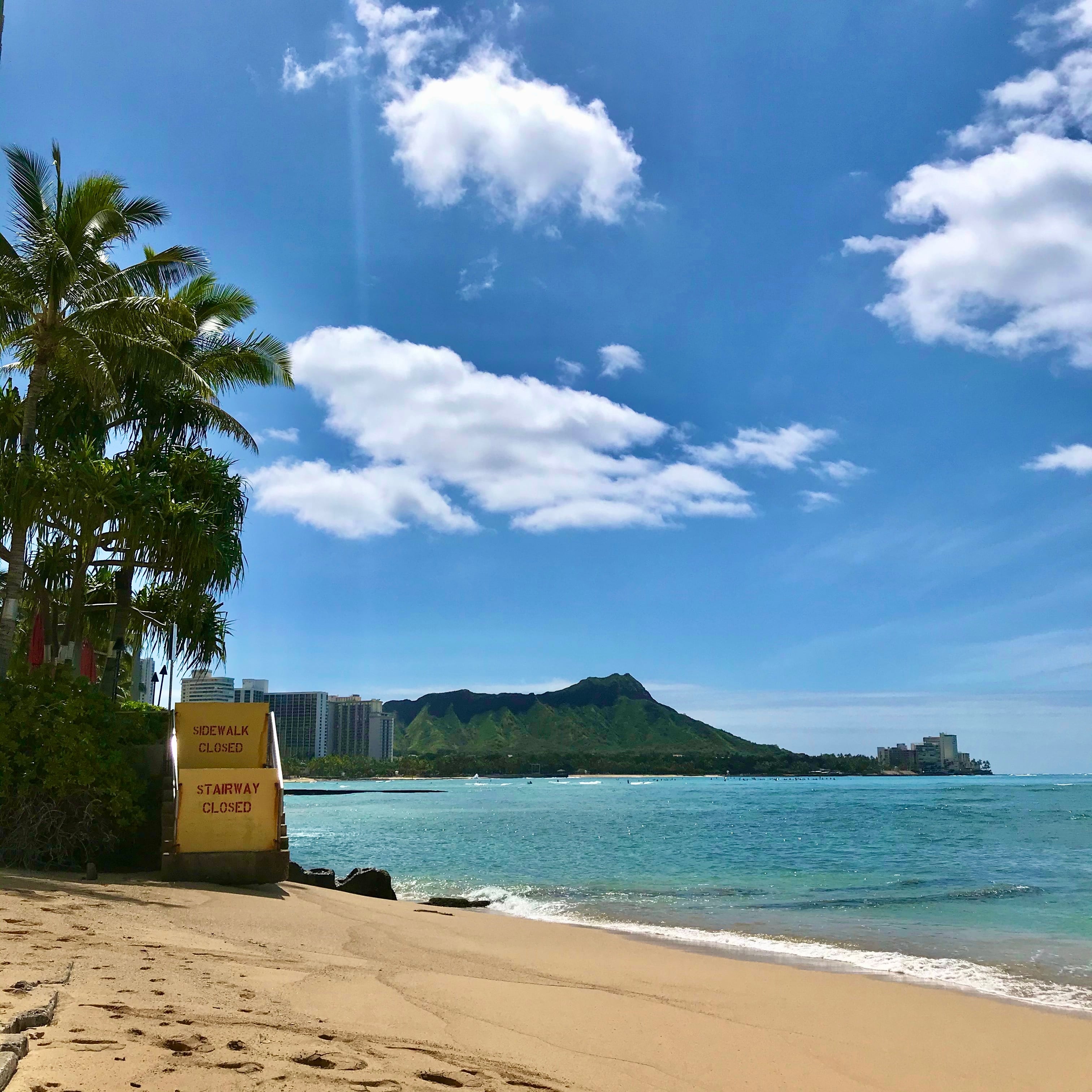 パレオ・ MANAOLA・送料無料 | Big mahalo Honolulu