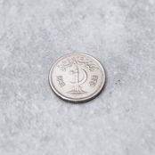 パキスタン 25パイサ コインリング｜PAKISTAN 25PAISA COINRING